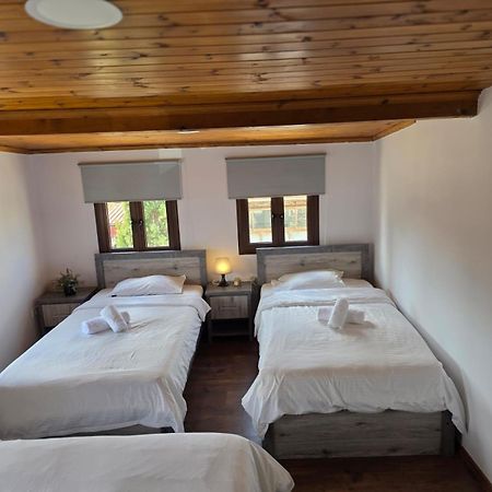 Town centre suites Larnaca Extérieur photo