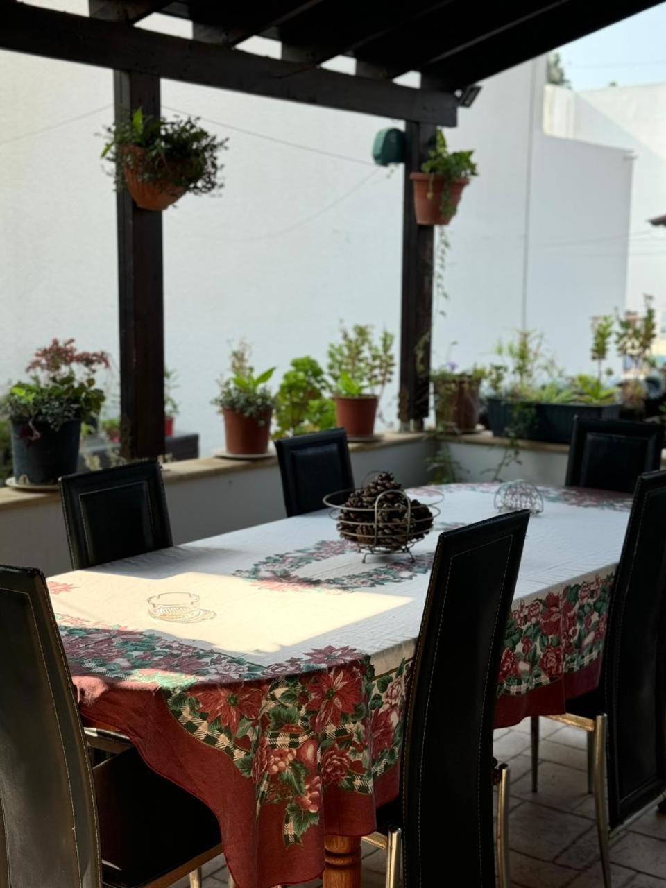 Town centre suites Larnaca Extérieur photo